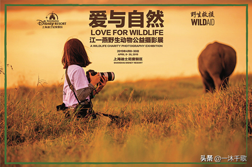 她是史上最低调女明星，做公益比韩红还拼命，