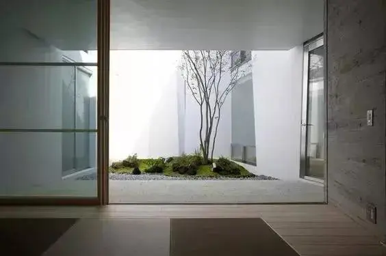 園林植物種植的五種類型