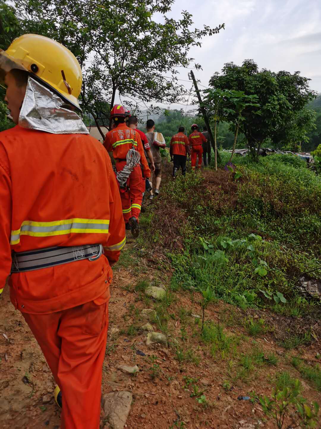清远两男子爬山迷路被困，消防6小时连夜搜救