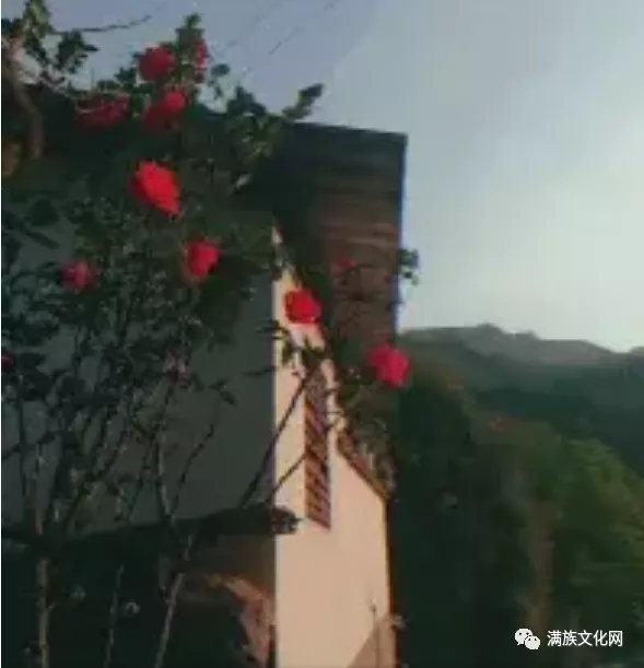 大清曾迁移一部分云南白族人到黑龙江担任“站