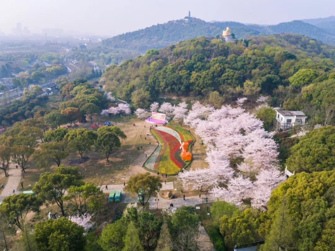 领略春日江南独道风情 苏州上方山百花节如约而至