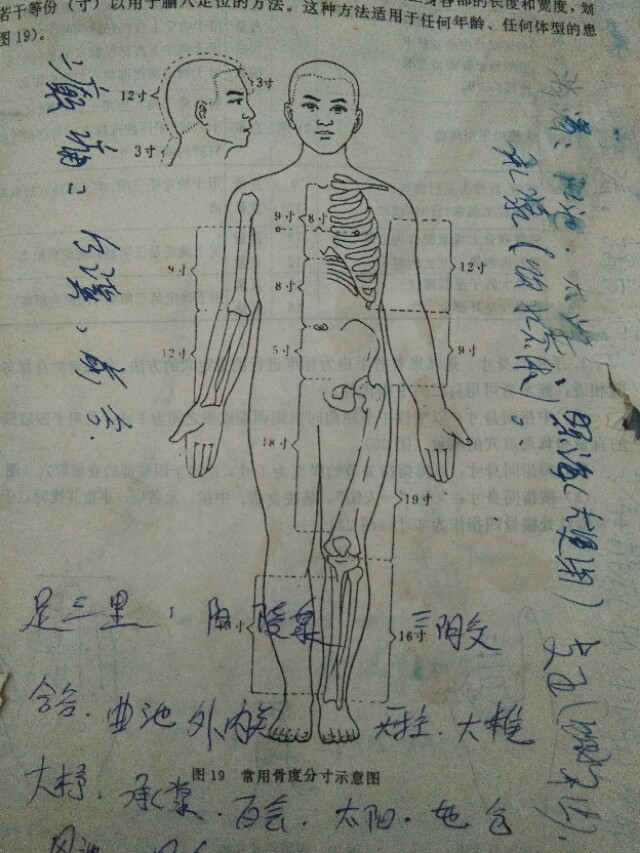 慢性胆囊炎的中医药治疗