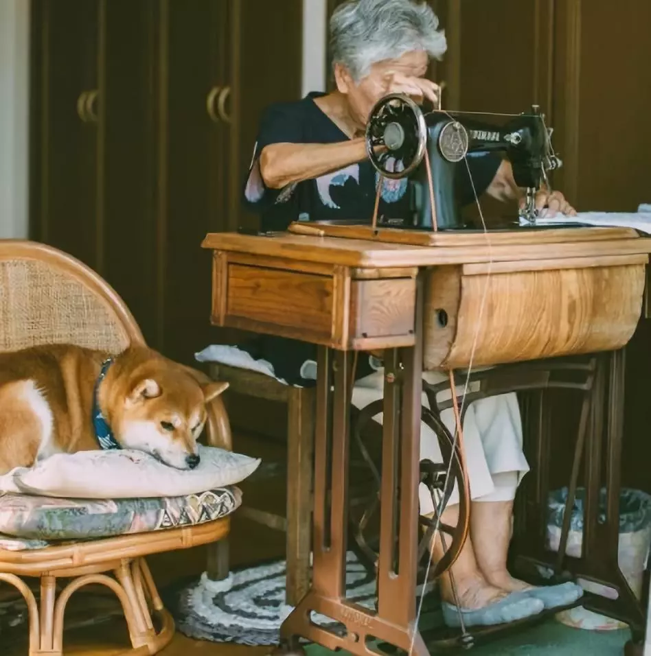 日本81岁奶奶和柴犬同患老年痴呆，分开2年后感人一幕发生了