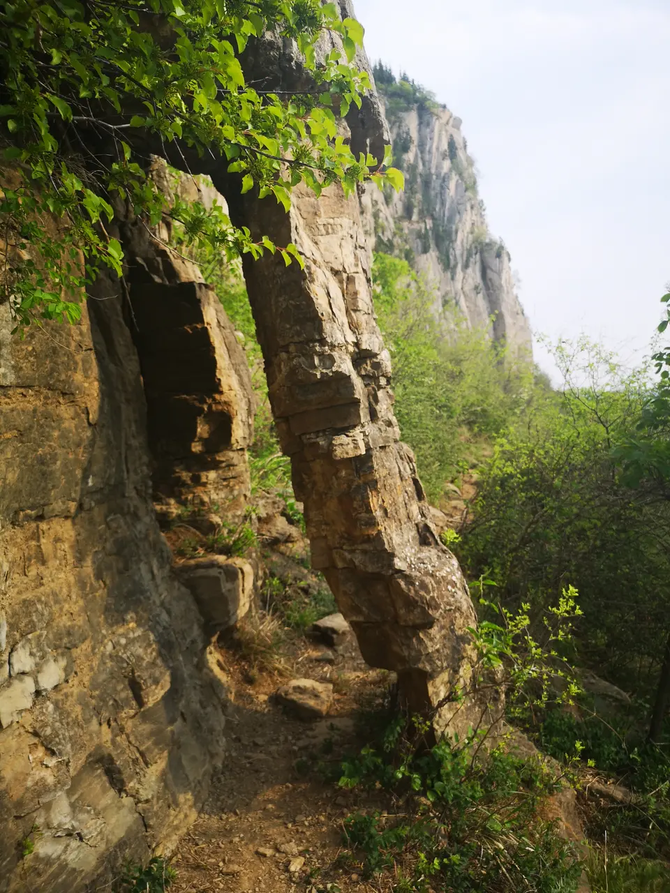 山东枣庄就是历史上大名鼎鼎的——兰陵【峄州