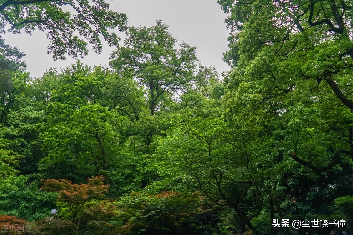 范成大一首看似很普通的诗，但是写得很巧妙，每一句都令人惊艳-第6张图片-非凡网