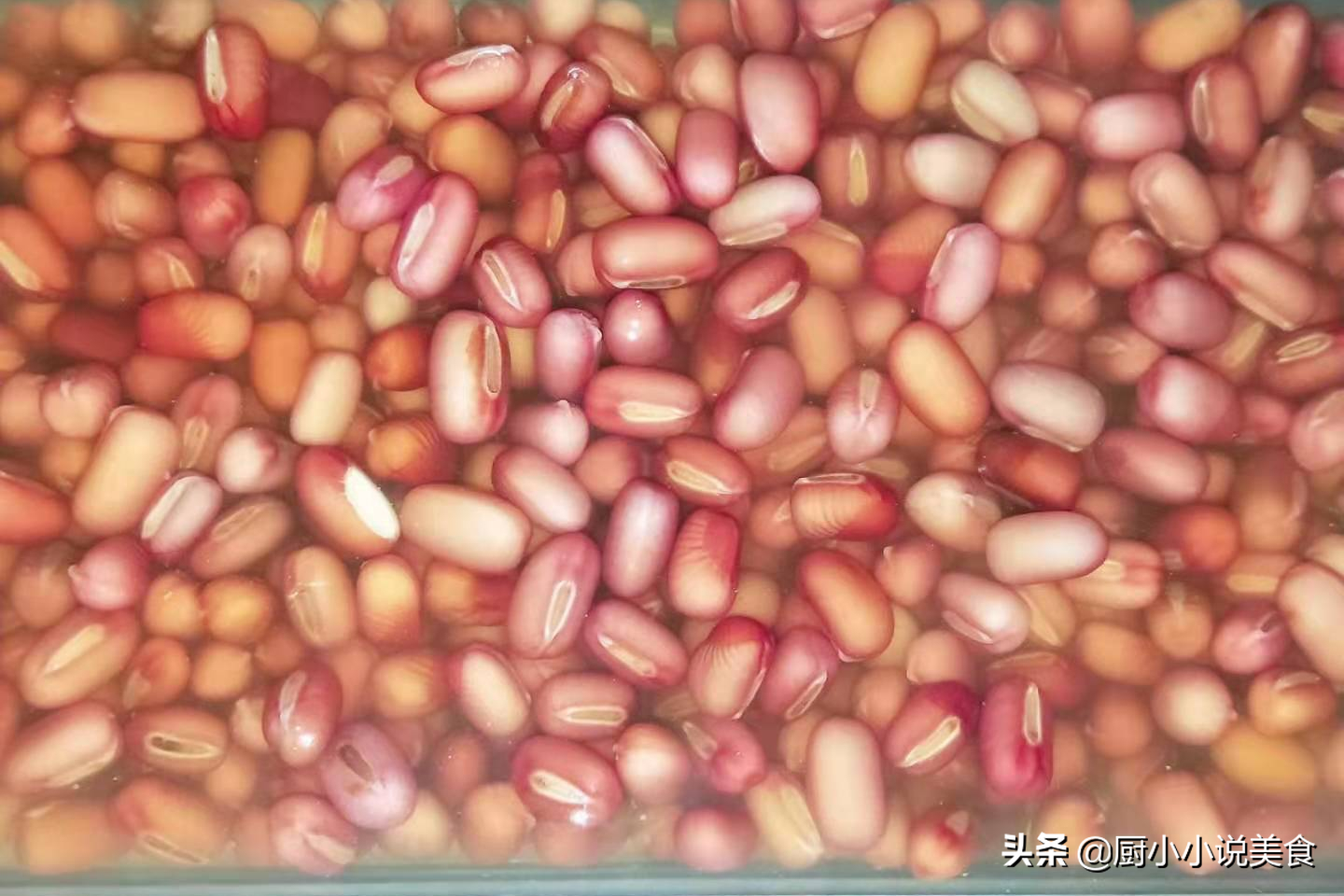 紅豆甜湯這樣做，香濃好喝，學會不再饞奶茶，當作早餐營養滿滿的