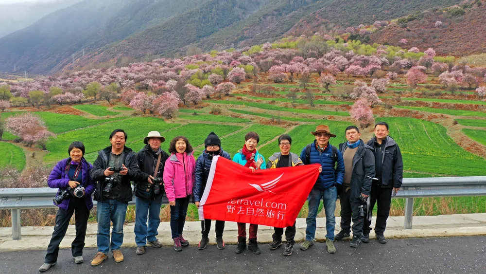 Jerry带团的野去林芝桃花节第四团凯旋，大片连连