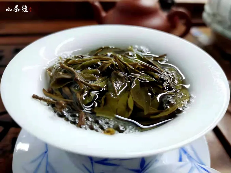 普洱茶關(guān)于自飲與投資 有幾點要說一下