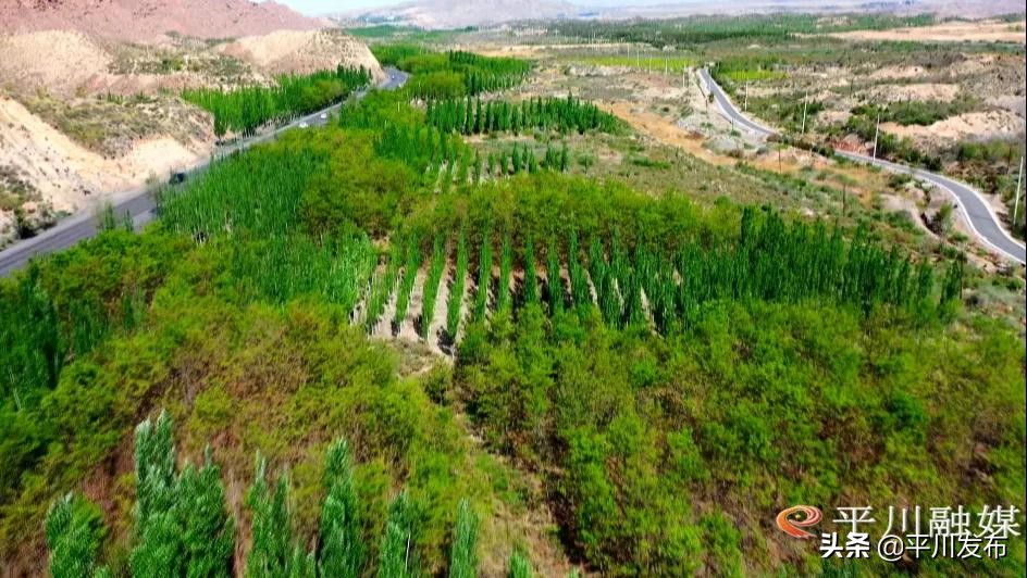 绘好大自然的底色--平川区大力组织开展国土绿化行动综述