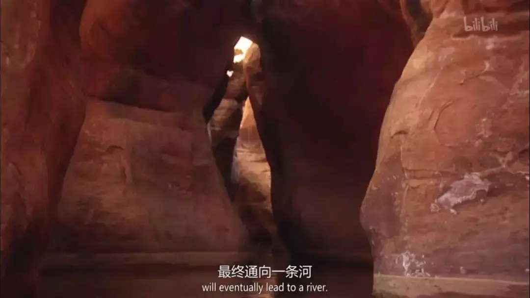 鸡肉味嘎巴脆!盘点《荒野求生》与贝爷的那些梗~