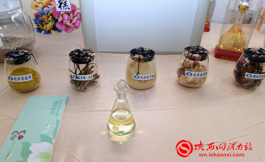 第四屆洽川旅游文化季牡丹嘉年華精彩紛呈 美食美景等你來解鎖（組圖）
