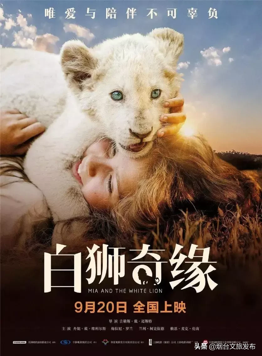 一周影讯 | 震撼大片源源不断,本周影讯要你好看!