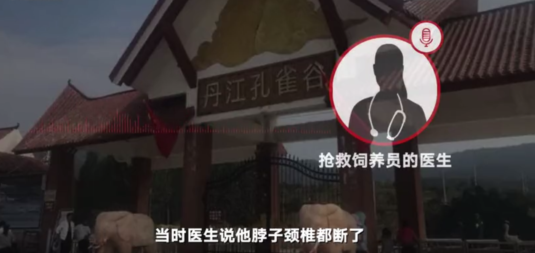 南阳两老虎咬死饲养员被击毙后续：饲养员脖子被咬成重伤 不得已才击毙