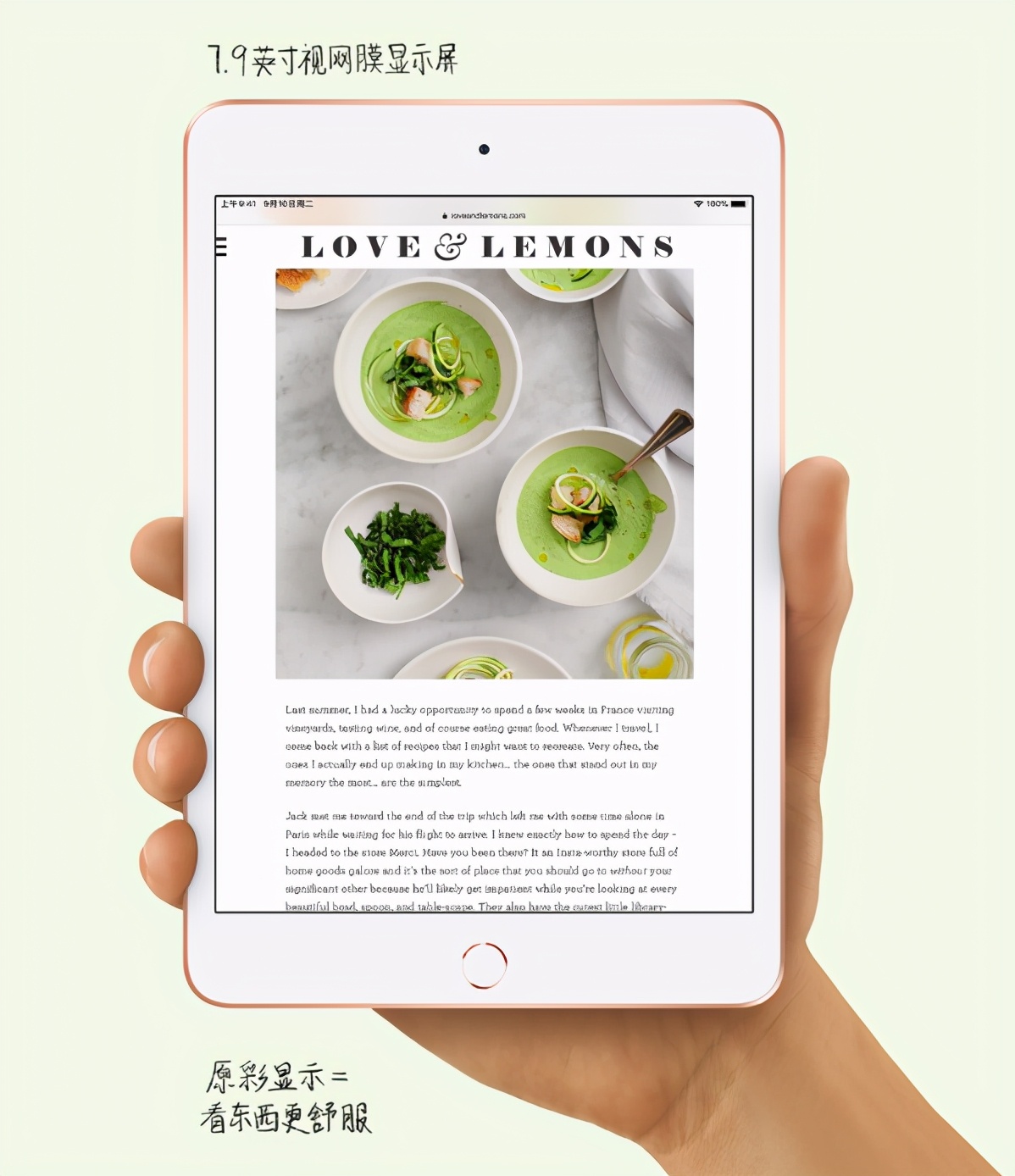苹果备战春季发布会，iPad mini将迎来更新！等等党胜利