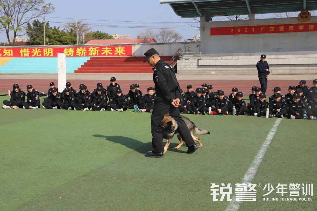 特警突击营圆满结营：历经警训淬炼，成就英勇少年