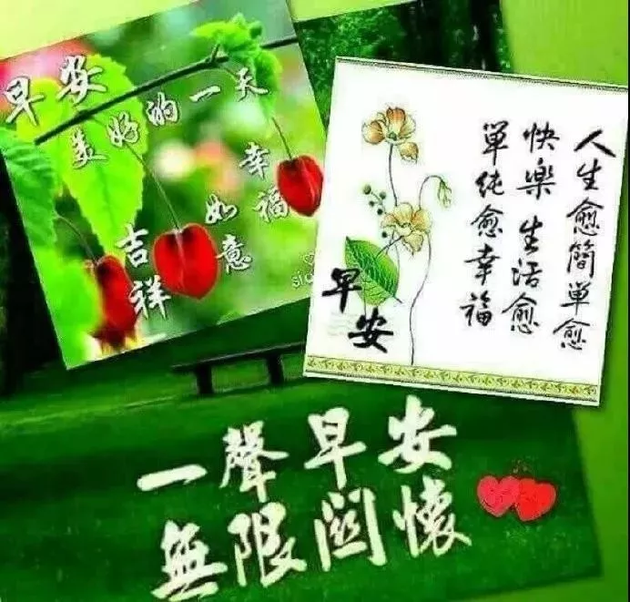 清晨早安阳光的正能量问候语，最美早安问候祝福语图片带字温馨图片