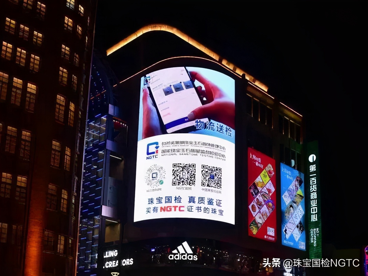 经鉴定,TA确实是进博会上最“闪耀”的仔