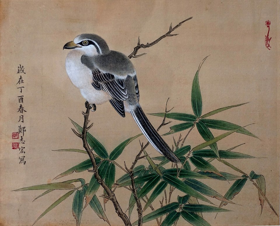 ���ڵ����־���