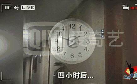 忠于愛情還是另有所圖？能夠忍渣男，這8位女明星，各有各的原因