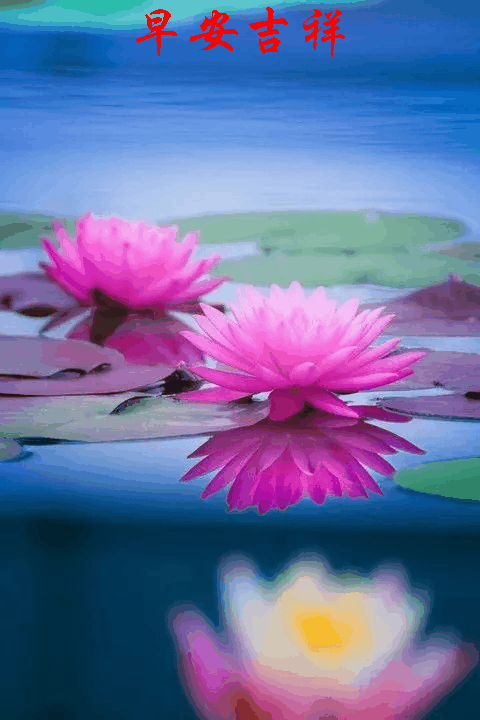 早上好动态图片带字和鲜花 早上好图片大全图片