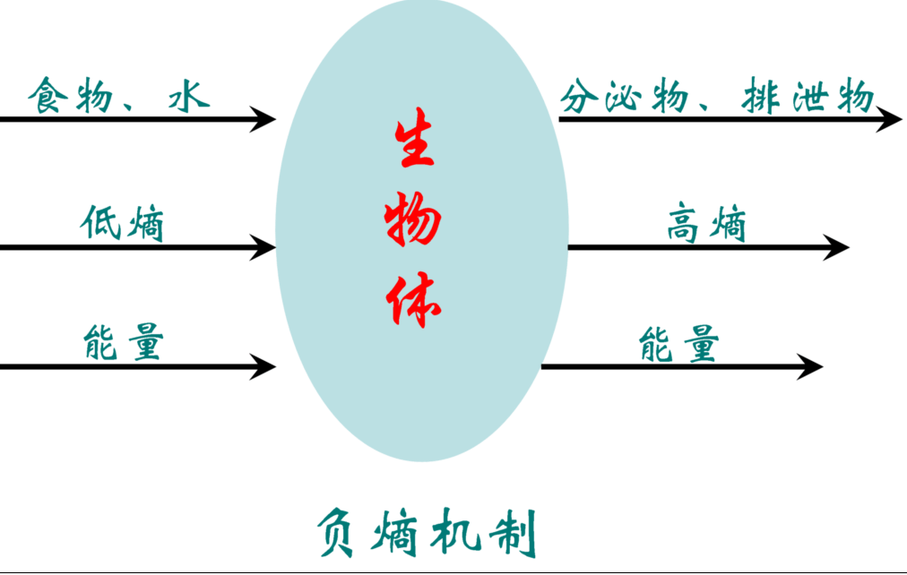 最悲觀的定律“熵增定律”，它意味著一切事物都走向終結(jié)