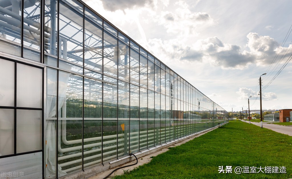 温室大棚蔬菜种植的几大误区，你知道多少？