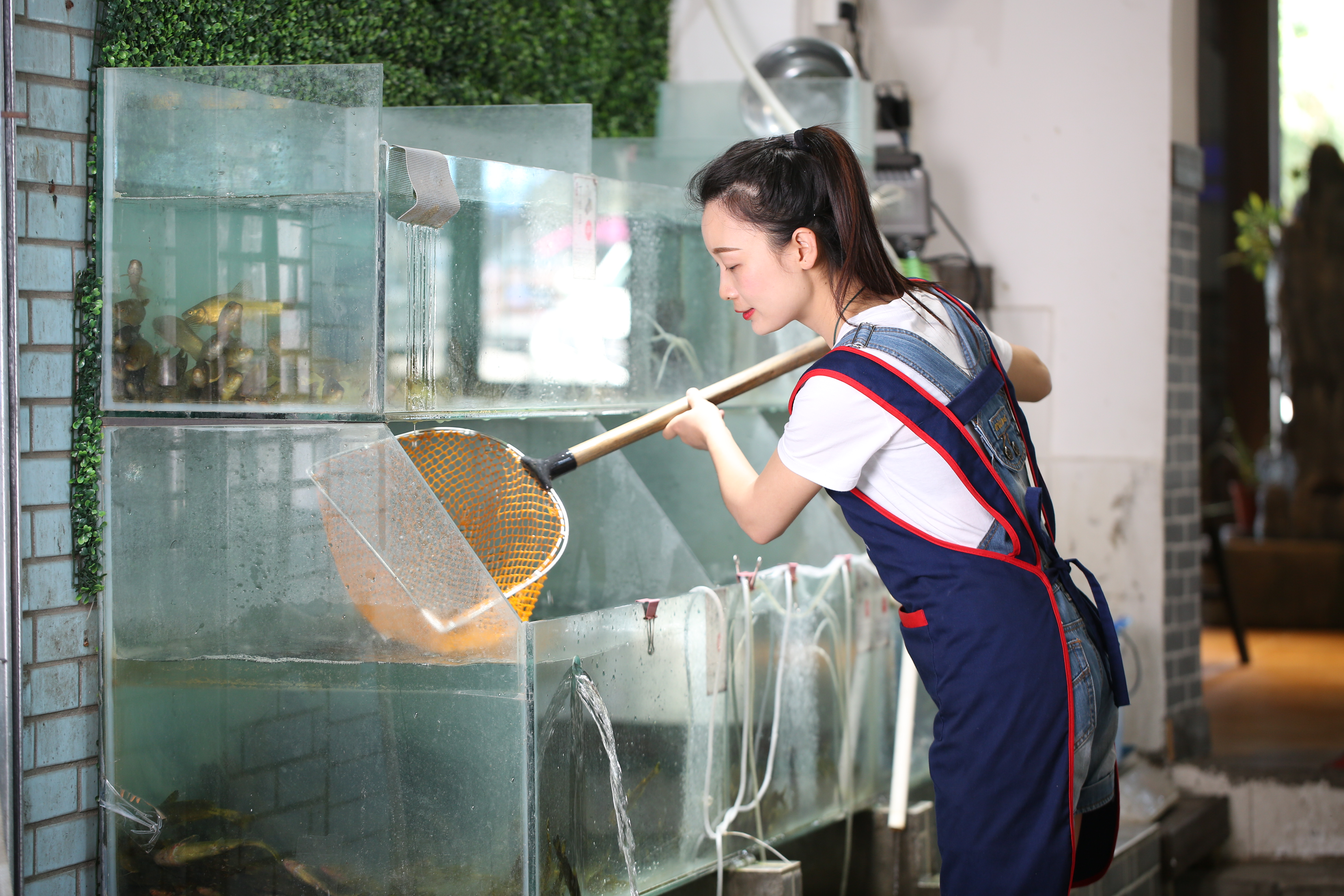 火鍋加盟要關(guān)注哪些方面？餐飲創(chuàng)業(yè)關(guān)鍵的三大要素是什么？