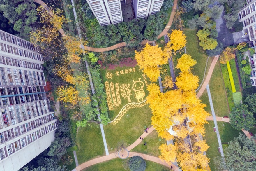 有一种幸福 来自龙湖花式&ldquo;宠爱&rdquo;