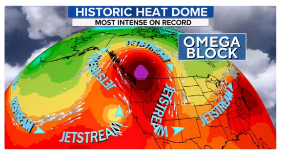 热炸了！美国一地高温达到81℃，导致极端高温的原因是什么？