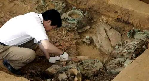 大雨冲出2000多年古墓，一只“千岁”龟爬出，专家：你吓到我了