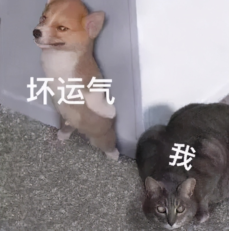 他心怀愧疚，借钱赔付了医药费，没想到…