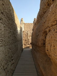 ���ʣ�����ȡ���ķ𾭷����