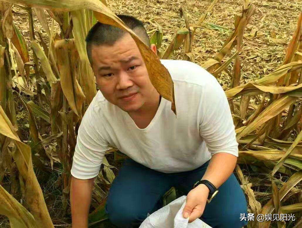 岳云鹏520表白孙越，妻子带头调侃，却都没注意岳云鹏发文的原因
