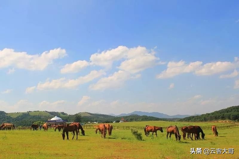 5 places in China to escape the summer heat, are you ready to take you away from the dog days?
