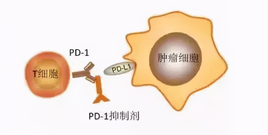 抗癌药的名利江湖，反腐为什么难？