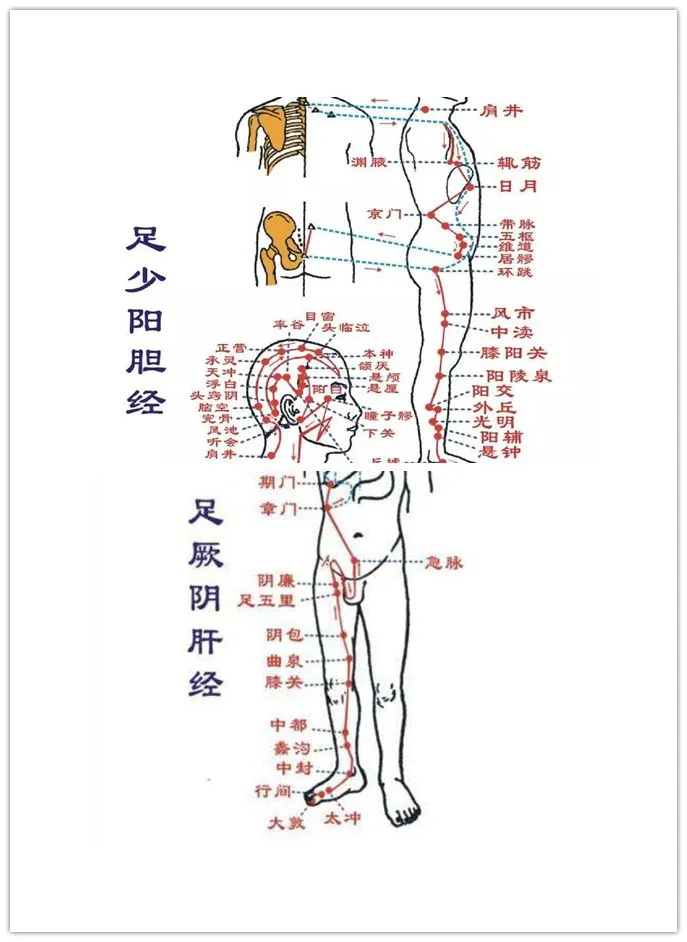 身体小毛病，按压8穴1经，帮助你预防小病变大病-第6张图片-农百科