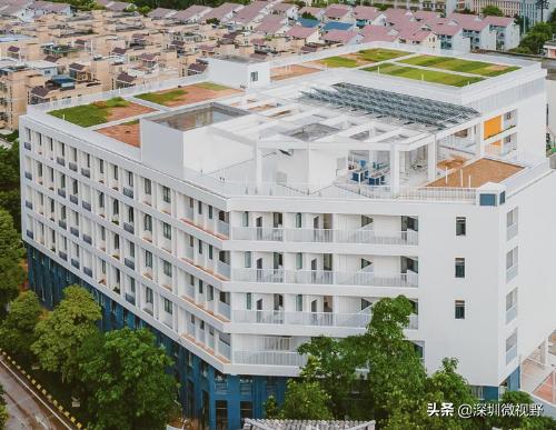 龙岗区13所新改扩建学校交付,坂田成大赢家(图14)