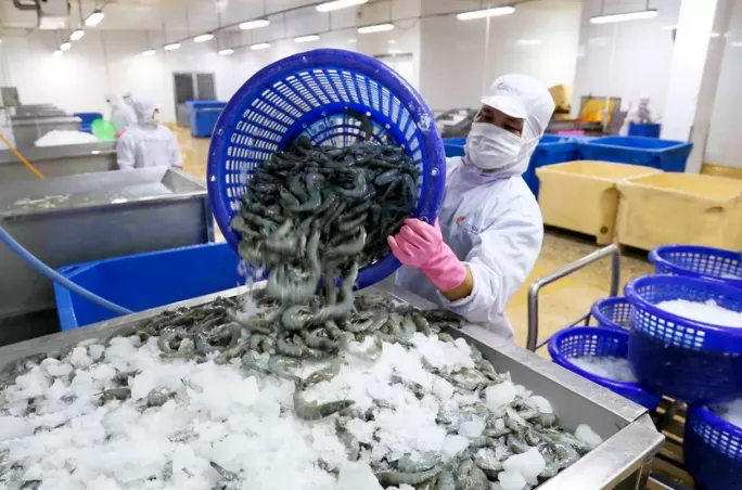 漢斯曼集團HQTS:后疫情時代,聚焦食品農產品大宗貿易風險把控