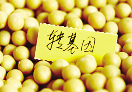 真相了！一文搞懂转基因食品检测