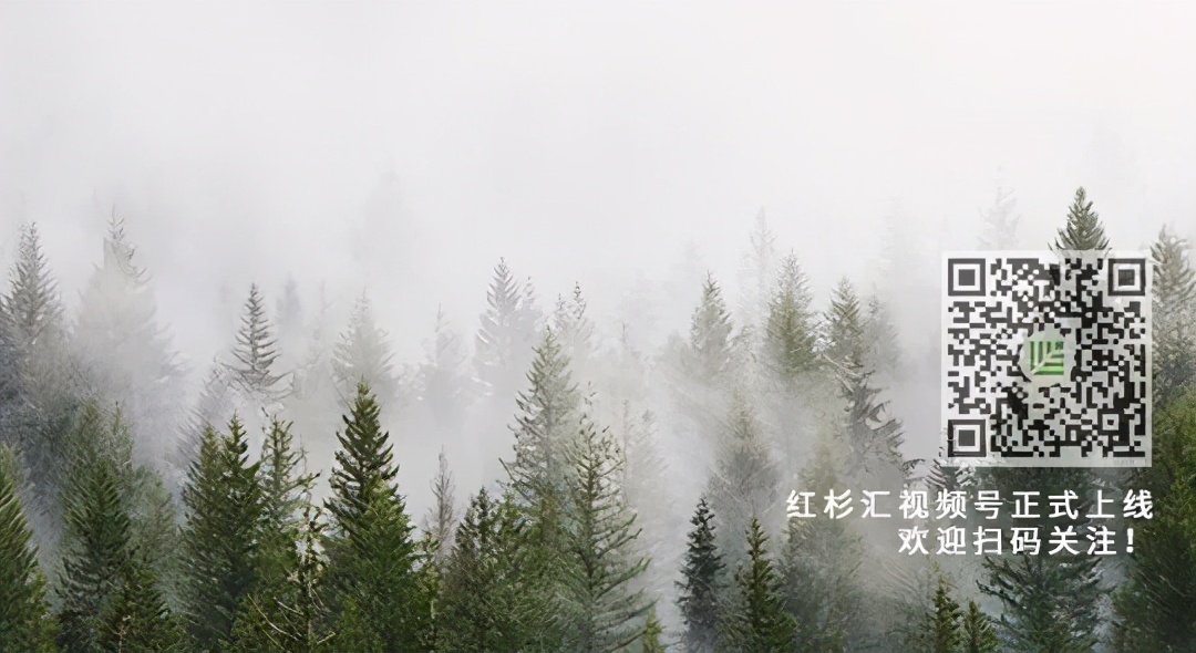 通往未来的按钮 你敢来开启吗 第三届红杉学者寻人启动 红杉汇 Mdeditor
