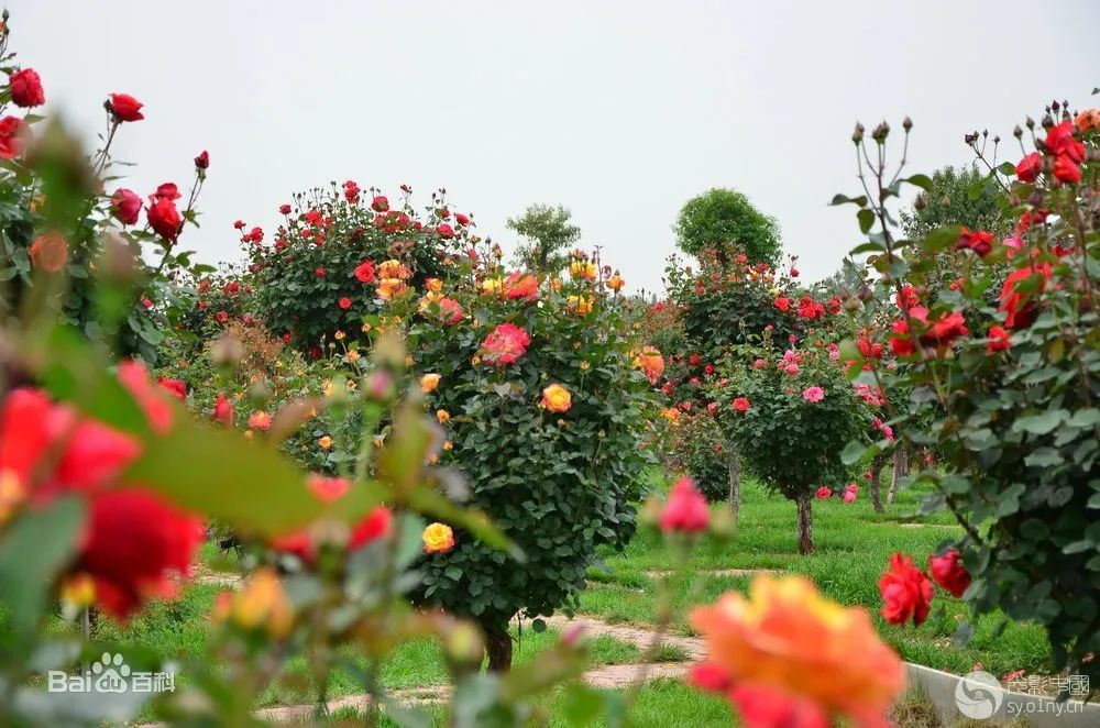 �׽����������Ļ����ν����湥�ԡ�ʯ����