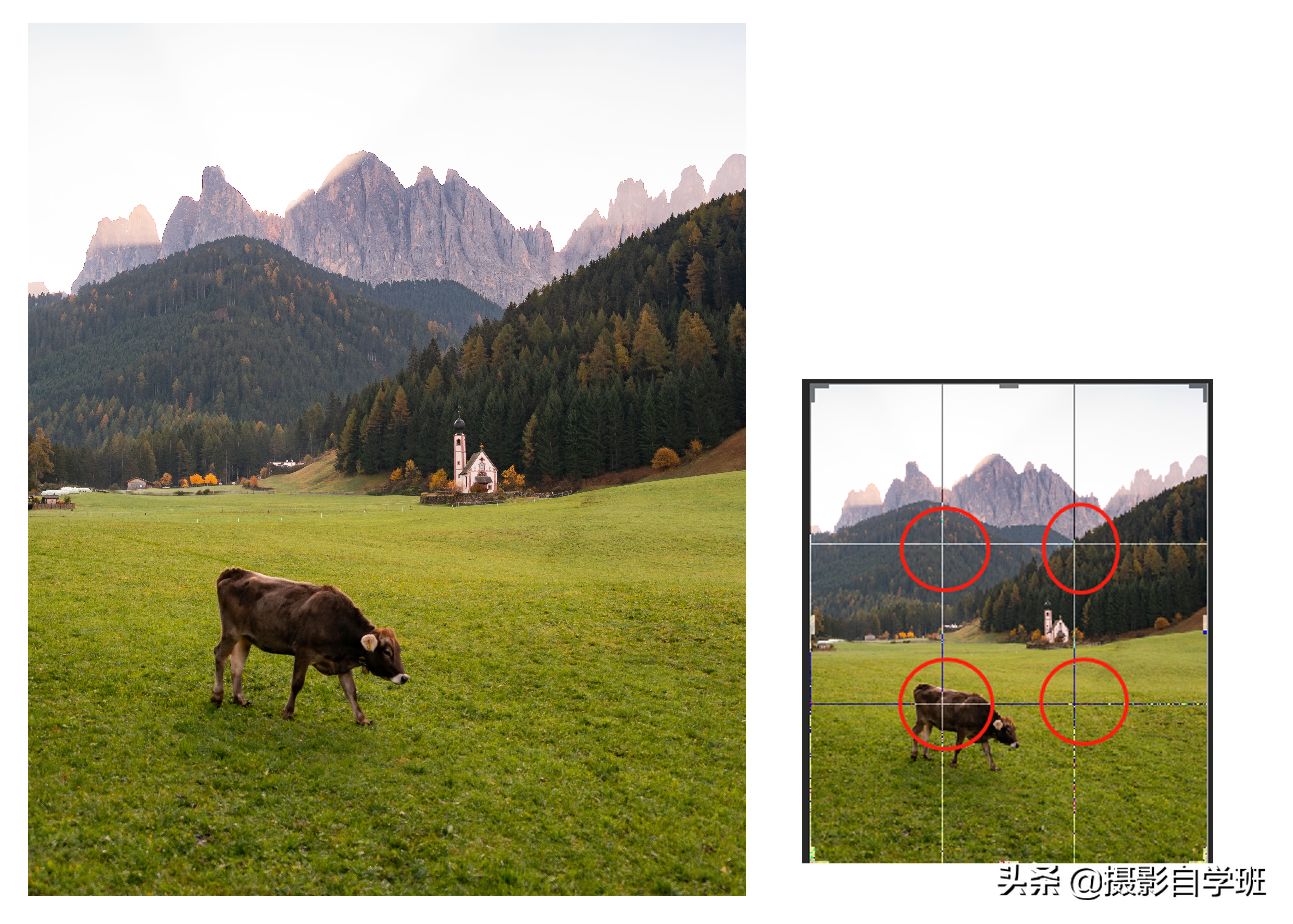 iphone相机设置说明书（苹果手机拍照技巧从入门到精通）