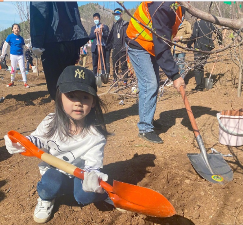 Dong Xuan takes a daughter to plant tree, netizen: I should steal small dimple