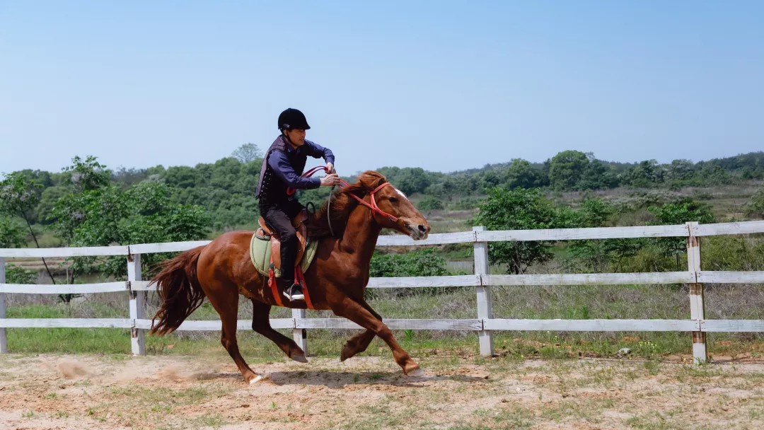 知遇蓝田·锻造成长 ▏蓝城农业研究院总经理谷建潮亲临项目授课