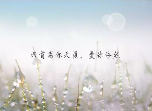 一个人撑得很累的说说 承受的太多终究叫人崩溃图片