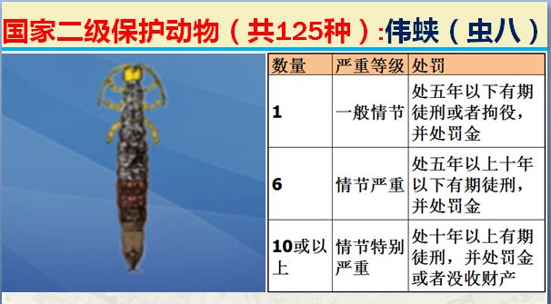 国家最新125类二级野生保护名录，图片及违法对应刑责