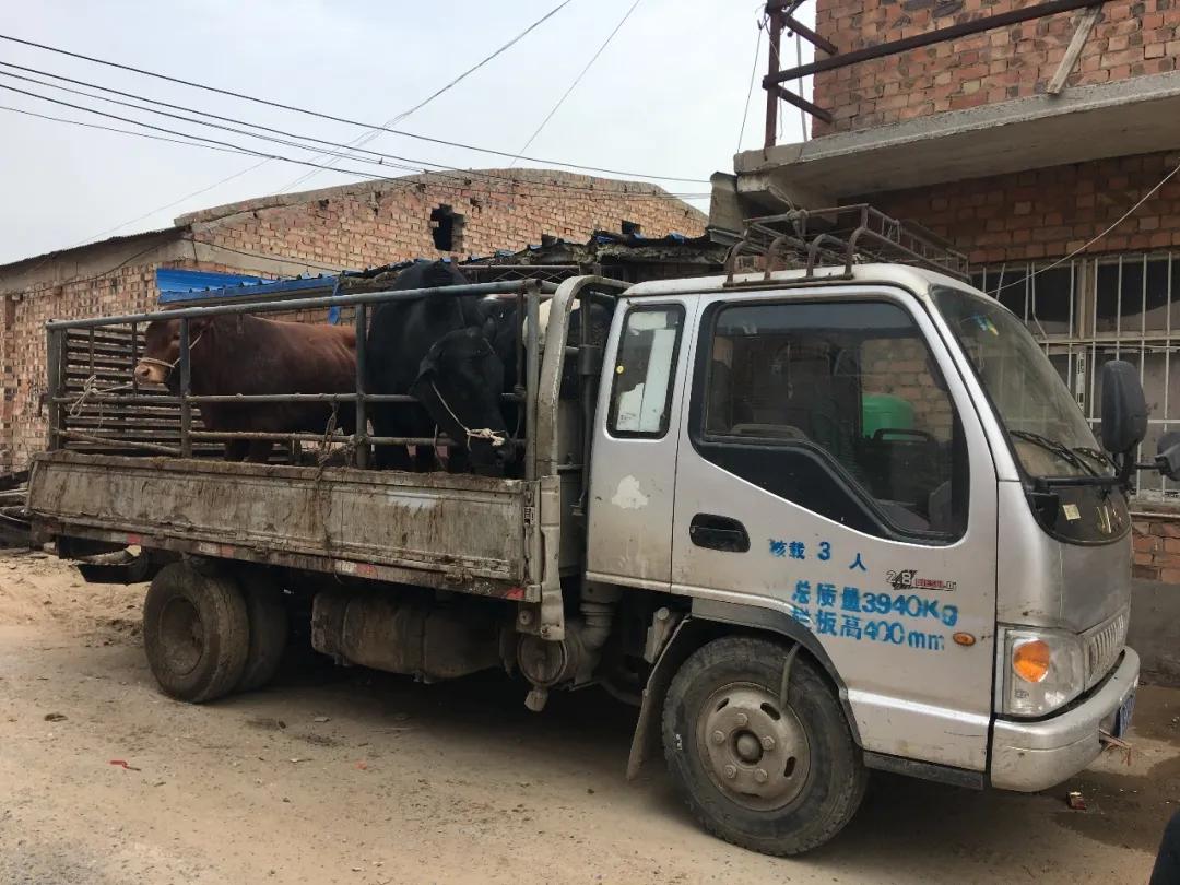 ������˵��ţ���������������˧�壬�У���