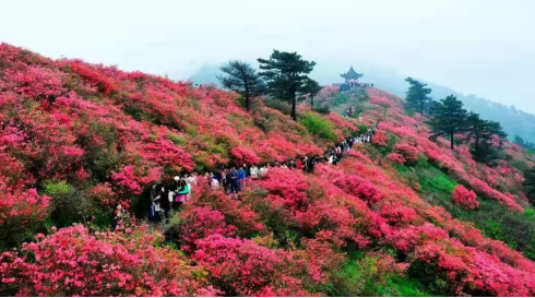 履好职 尽好责 麻城龟峰山派出所打造“枫桥式”景区派出所标杆