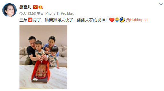 胡杏兒曬全家福慶三胎兒子滿月，一家五口同框畫面溫馨幸福