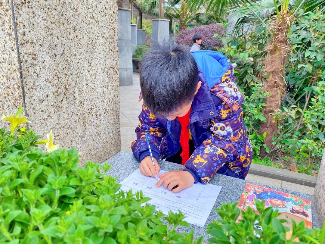 带上五官到校园里寻找春天——成都市华中附小大自然的语文课